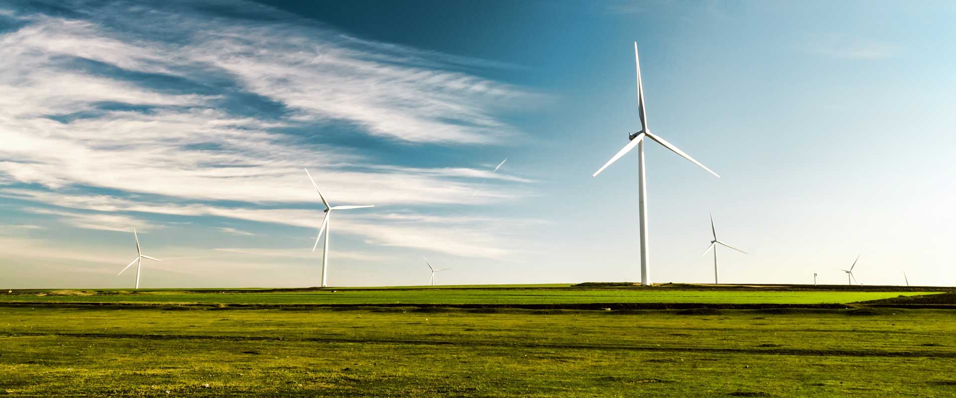 White wind turbines in a field with green grass and blue skies.